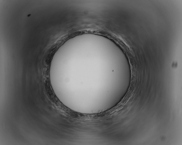 X0000101401399200807071018
