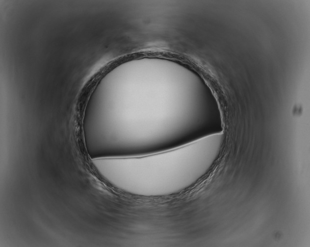 X0000101401400200807071018