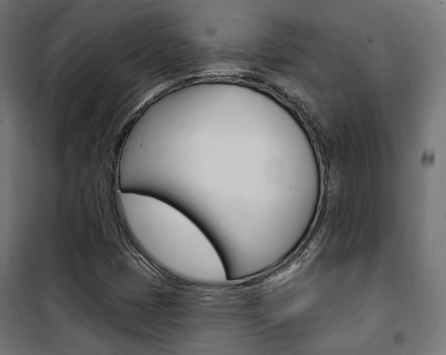 X0000101401401200807071018