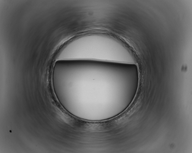 X0000101401402200807071018