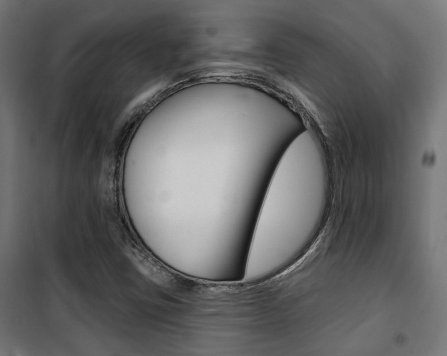 X0000101401403200807071018