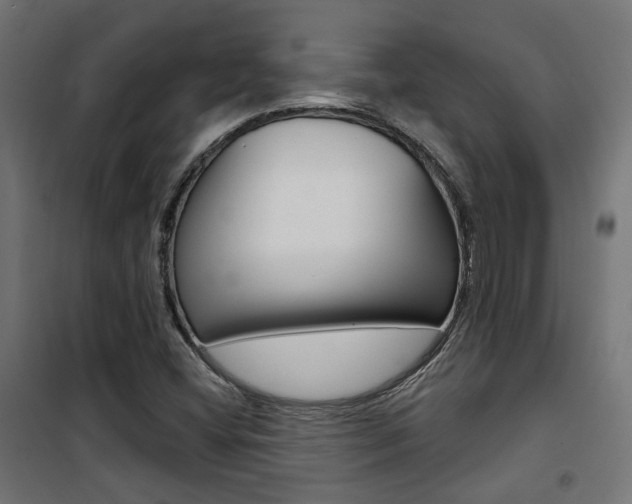 X0000101401404200807071018