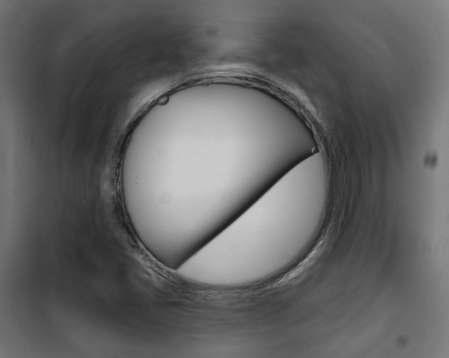 X0000101401405200807071018
