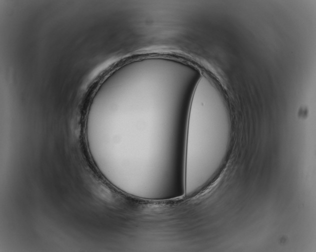 X0000101401406200807071018