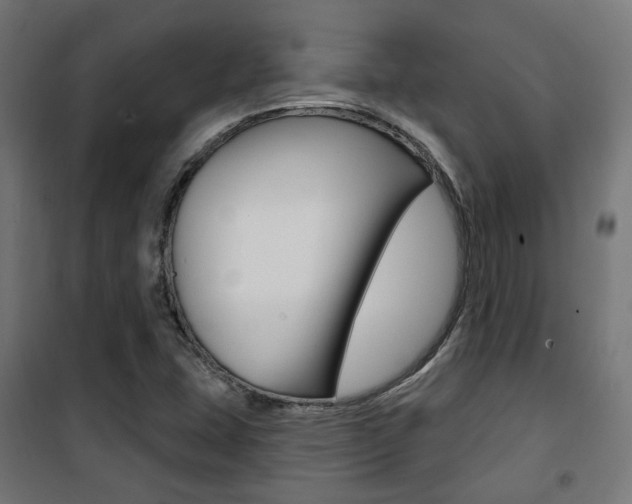 X0000101401407200807071018