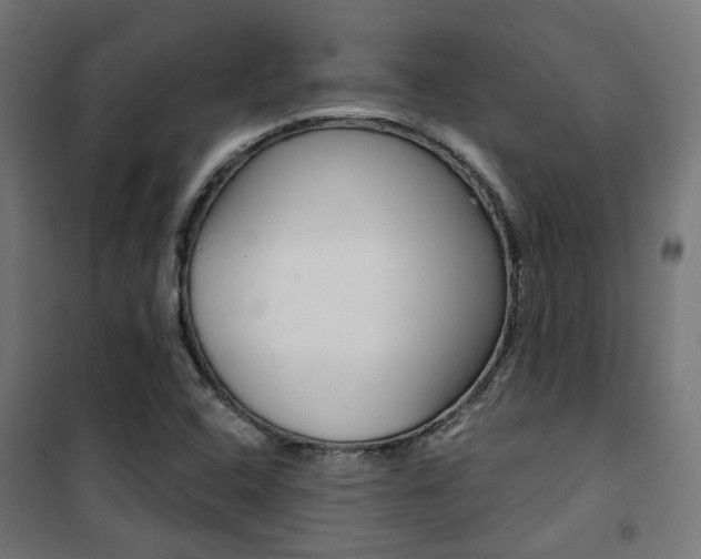 X0000101401408200807071018