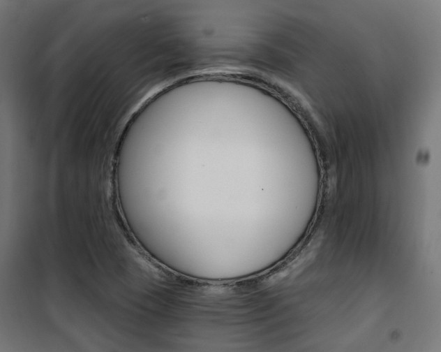 X0000101401409200807071018