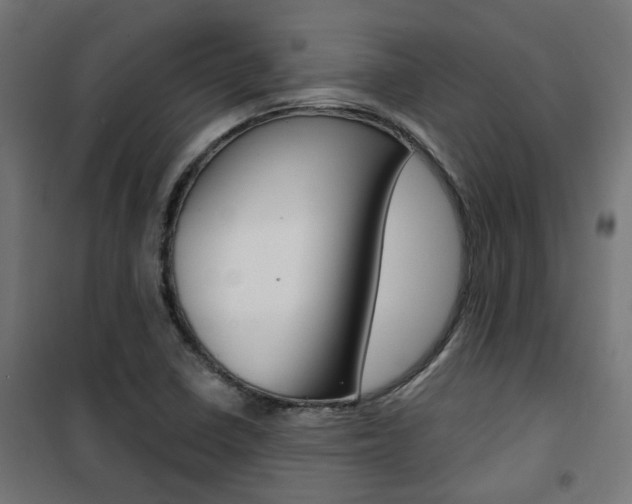 X0000101401410200807071018