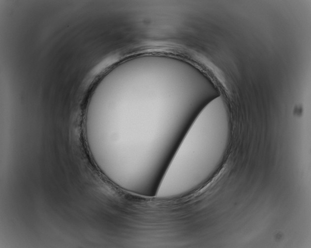 X0000101401411200807071018