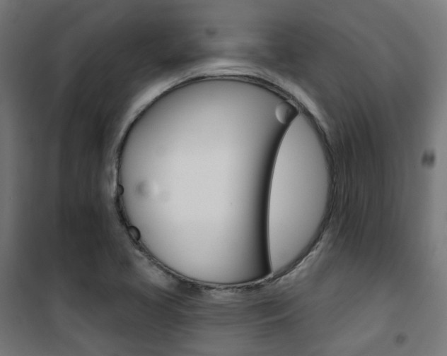 X0000101401413200807071018