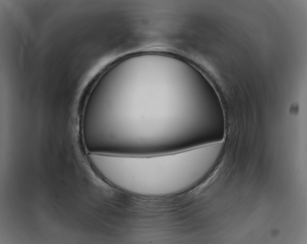 X0000101401414200807071018
