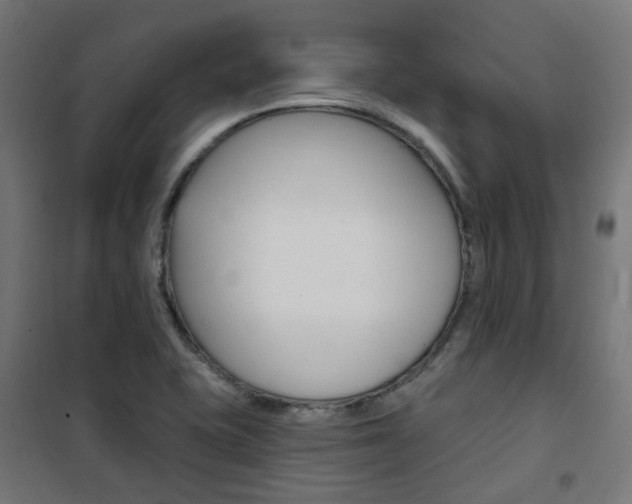 X0000101401415200807071018