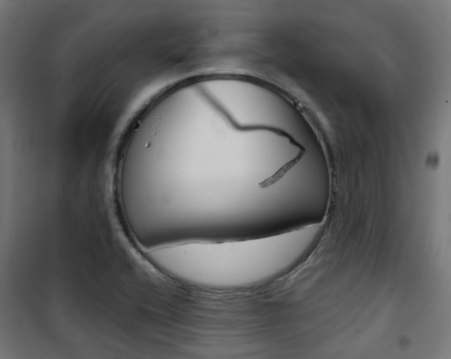 X0000101401416200807071018