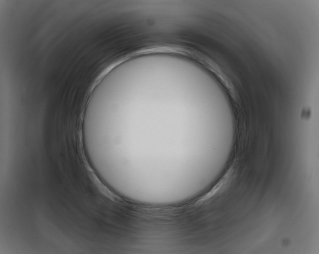 X0000101401417200807071018