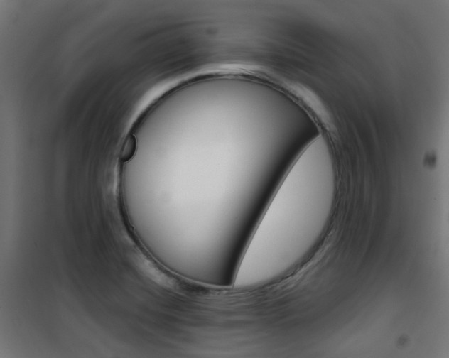 X0000101401420200807071018