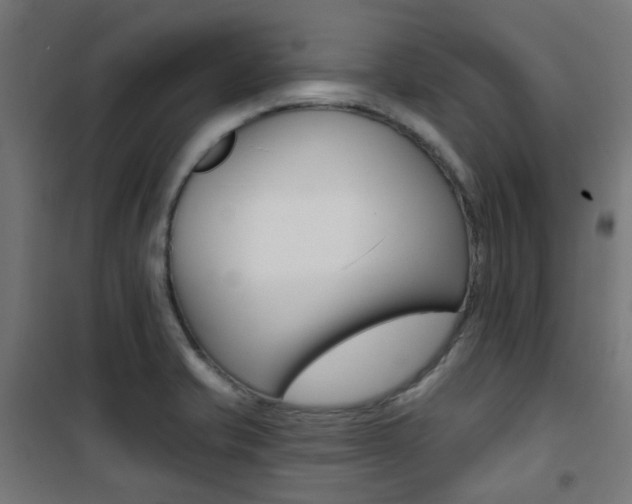 X0000101401421200807071018