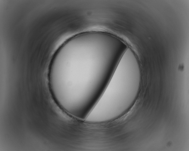 X0000101401422200807071018