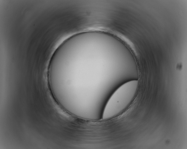 X0000101401423200807071018