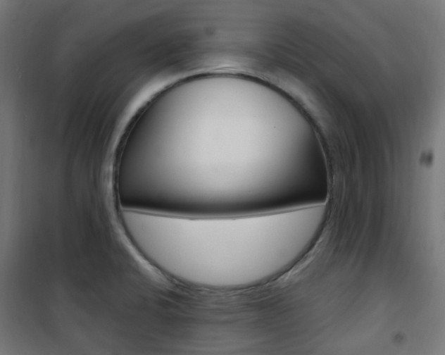 X0000101401424200807071018