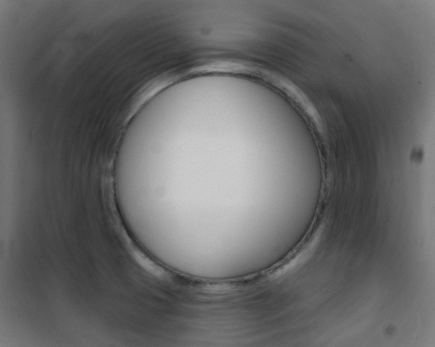 X0000101401425200807071018