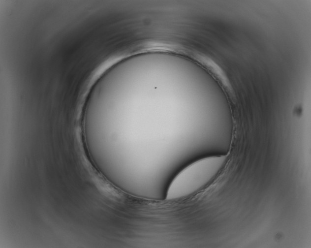 X0000101401427200807071019