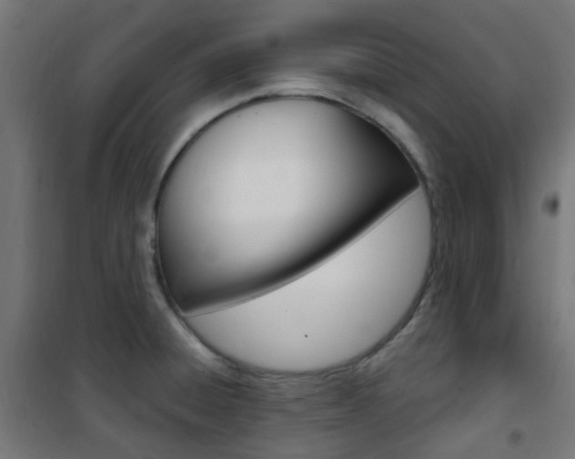 X0000101401428200807071019