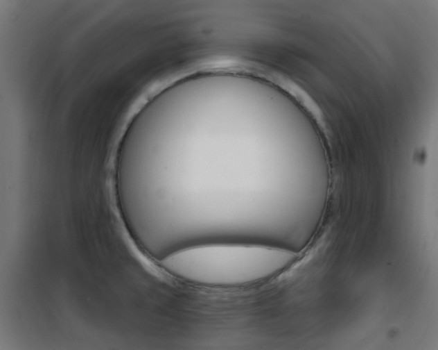 X0000101401429200807071019