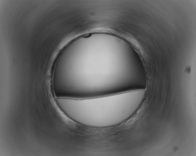 X0000101401430200807071019