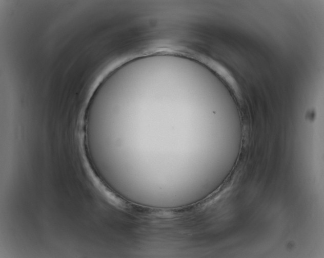 X0000101401431200807071019