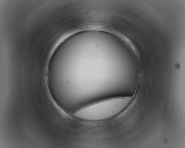 X0000101401432200807071019