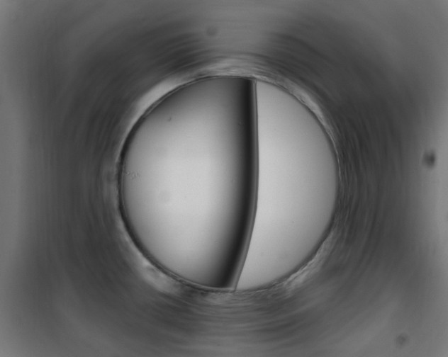 X0000101401434200807071019