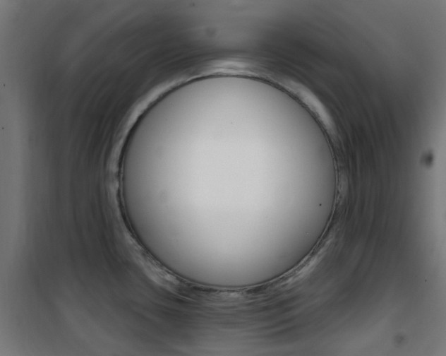 X0000101401435200807071019