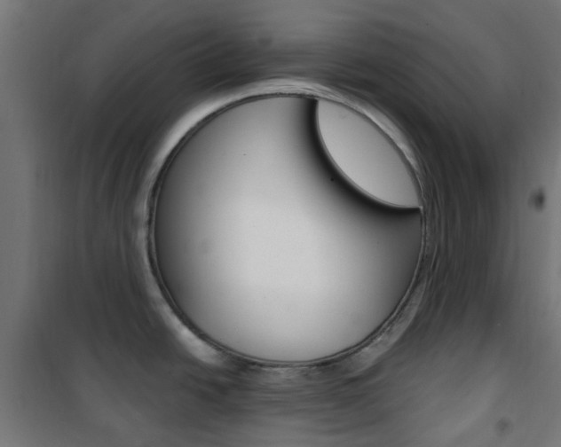 X0000101401438200807071019