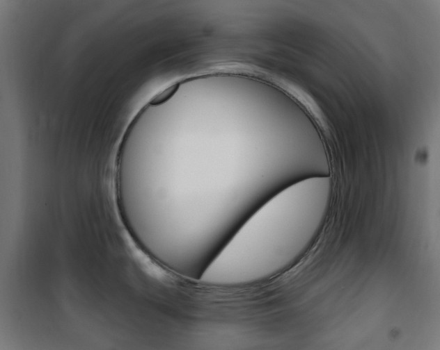 X0000101401439200807071019