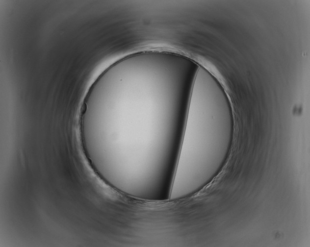 X0000101401440200807071019