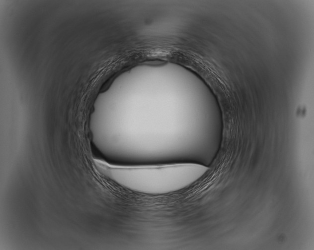 X0000101401441200807071018