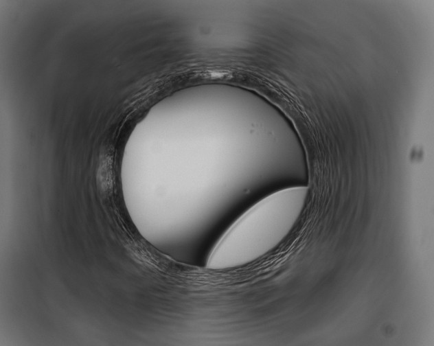 X0000101401442200807071018
