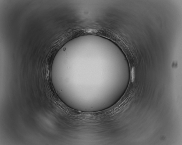 X0000101401443200807071018