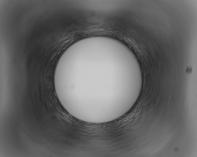 X0000101401444200807071018