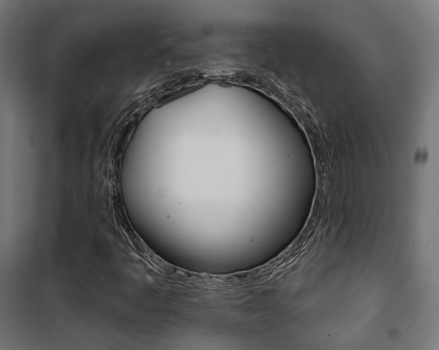 X0000101401445200807071018