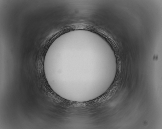 X0000101401446200807071018