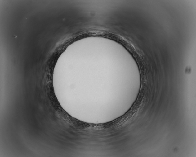 X0000101401447200807071018