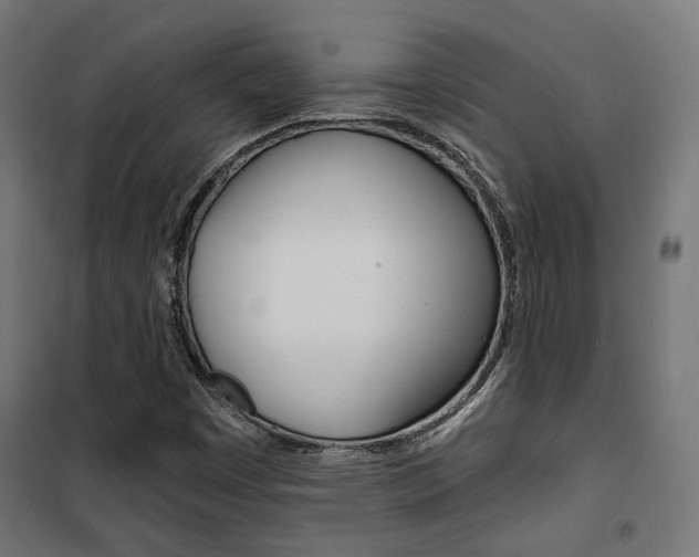 X0000101401449200807071018