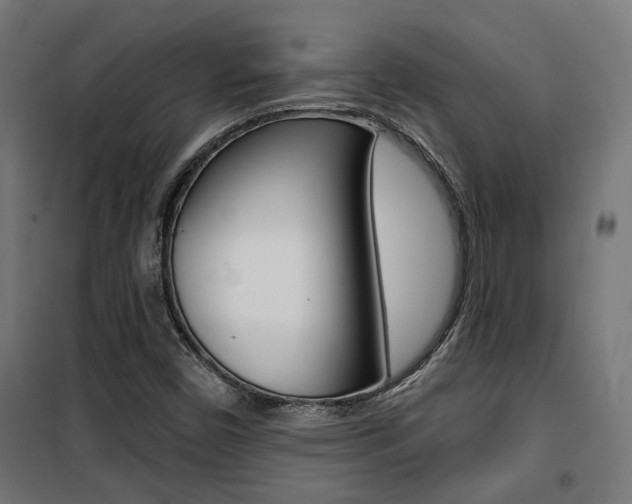 X0000101401450200807071018