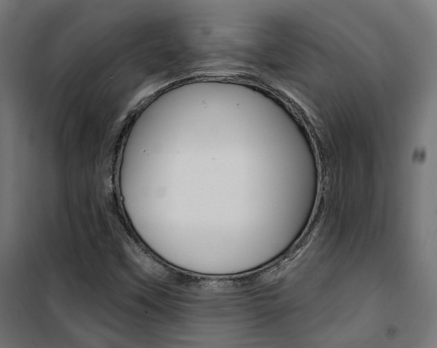 X0000101401451200807071018