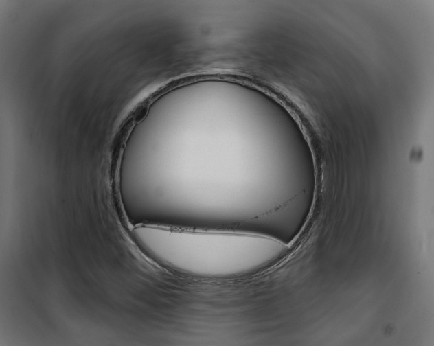 X0000101401452200807071018