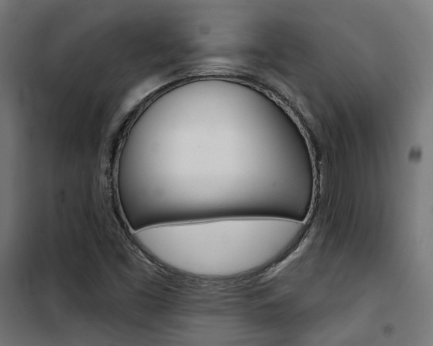 X0000101401453200807071018
