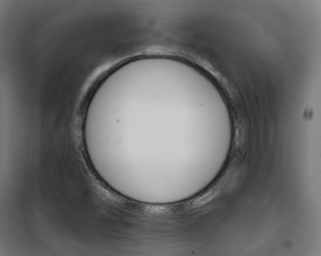 X0000101401454200807071018