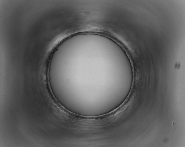 X0000101401455200807071018