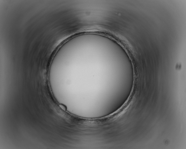 X0000101401457200807071018